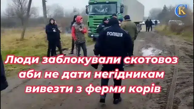 Ставленик Міндича, Віталій Бунечко знищує ДП «Рихальське» на Житомирщині
