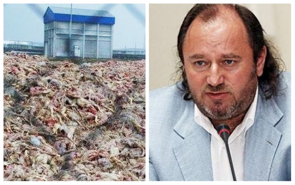 Власники «Гаврилівських курчат» Євген Сігал та Марина Сігал уникли реального покарання по резонансній справі «пташиний могильник» за хабар 3 Власники «Гаврилівських курчат» Євген Сігал та Марина Сігал уникли реального покарання по резонансній справі «пташиний могильник» за хабар